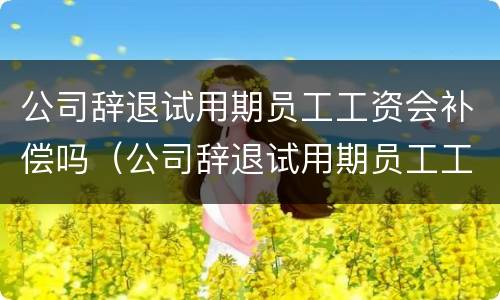 公司辞退试用期员工工资会补偿吗（公司辞退试用期员工工资会补偿吗）