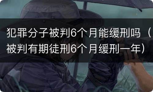 犯罪分子被判6个月能缓刑吗（被判有期徒刑6个月缓刑一年）