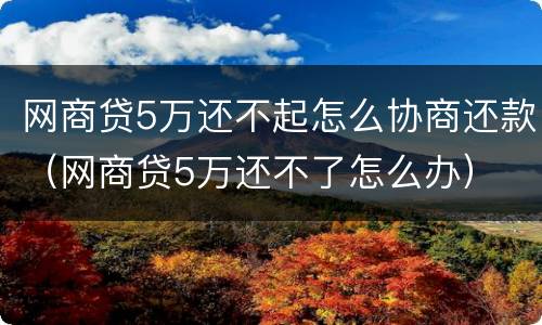 网商贷5万还不起怎么协商还款（网商贷5万还不了怎么办）