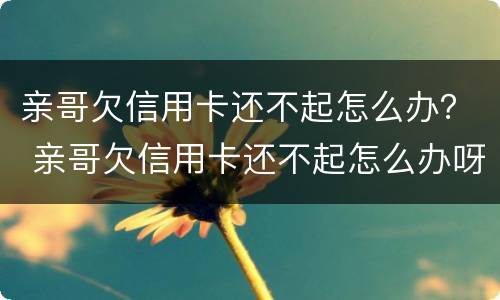 亲哥欠信用卡还不起怎么办？ 亲哥欠信用卡还不起怎么办呀