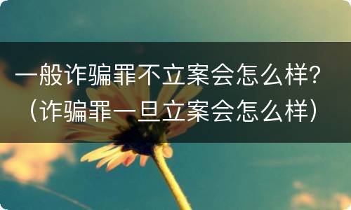 一般诈骗罪不立案会怎么样？（诈骗罪一旦立案会怎么样）