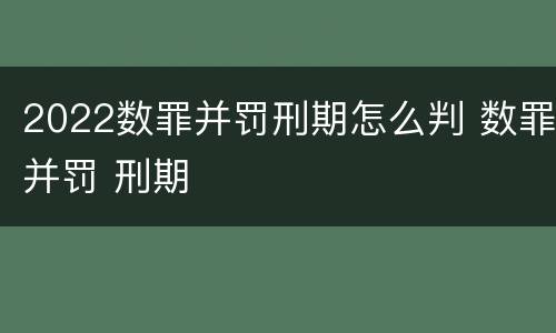2022数罪并罚刑期怎么判 数罪并罚 刑期