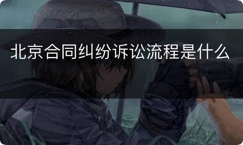 北京合同纠纷诉讼流程是什么