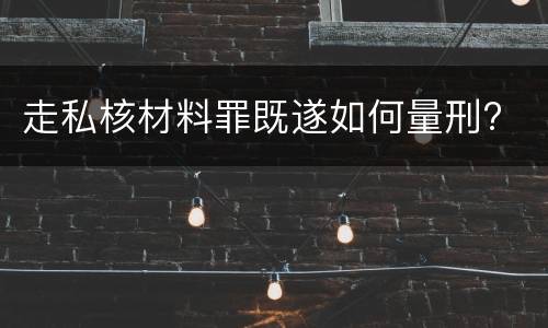 走私核材料罪既遂如何量刑?