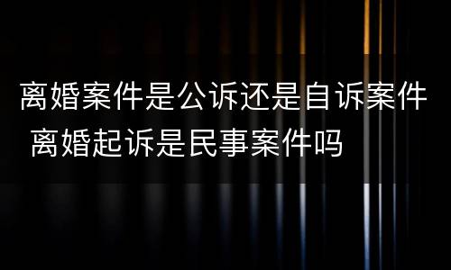 离婚案件是公诉还是自诉案件 离婚起诉是民事案件吗