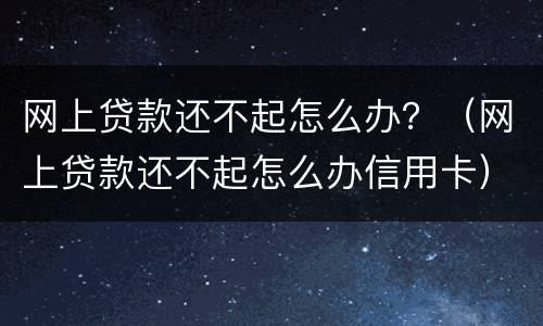 网上贷款还不起怎么办？（网上贷款还不起怎么办信用卡）
