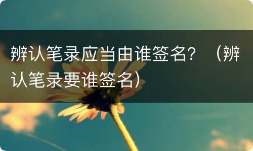 辨认笔录应当由谁签名？（辨认笔录要谁签名）