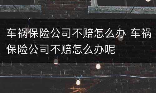 车祸保险公司不赔怎么办 车祸保险公司不赔怎么办呢