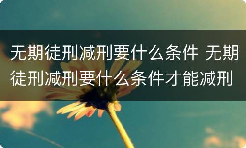 无期徒刑减刑要什么条件 无期徒刑减刑要什么条件才能减刑