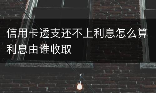 信用卡透支还不上利息怎么算利息由谁收取