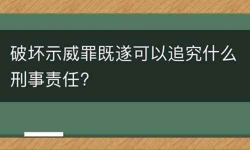 破坏示威罪既遂可以追究什么刑事责任?