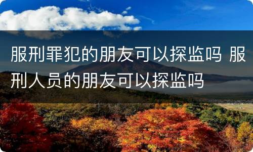 服刑罪犯的朋友可以探监吗 服刑人员的朋友可以探监吗