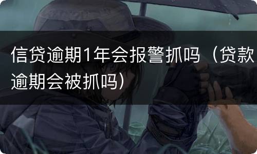 信贷逾期1年会报警抓吗（贷款逾期会被抓吗）