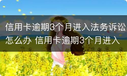 信用卡逾期3个月进入法务诉讼怎么办 信用卡逾期3个月进入法务诉讼怎么办