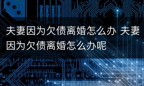 夫妻因为欠债离婚怎么办 夫妻因为欠债离婚怎么办呢