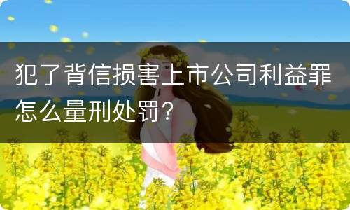 犯了背信损害上市公司利益罪怎么量刑处罚?