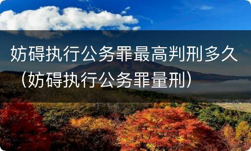 妨碍执行公务罪最高判刑多久（妨碍执行公务罪量刑）