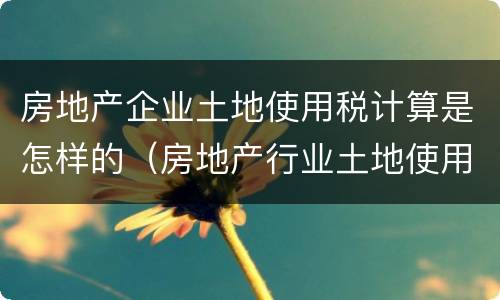 房地产企业土地使用税计算是怎样的（房地产行业土地使用税如何计算）