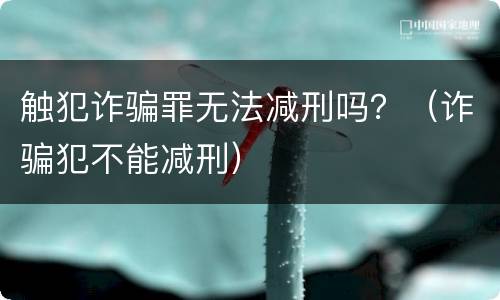 触犯诈骗罪无法减刑吗？（诈骗犯不能减刑）