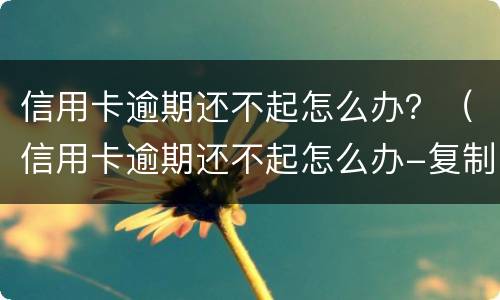 信用卡逾期还不起怎么办？（信用卡逾期还不起怎么办-复制）