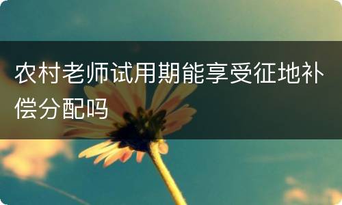 农村老师试用期能享受征地补偿分配吗