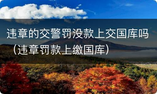 违章的交警罚没款上交国库吗（违章罚款上缴国库）