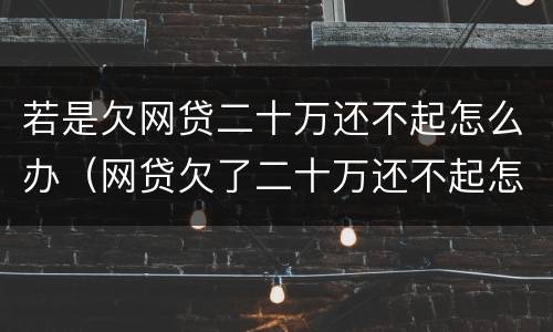 若是欠网贷二十万还不起怎么办（网贷欠了二十万还不起怎么办）