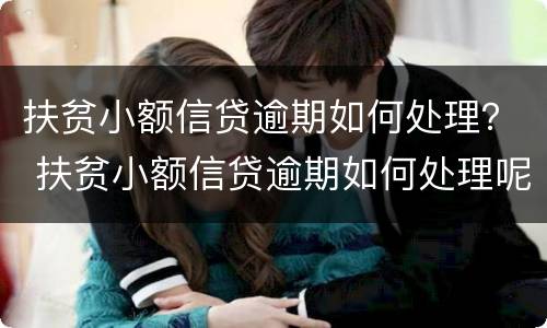扶贫小额信贷逾期如何处理？ 扶贫小额信贷逾期如何处理呢
