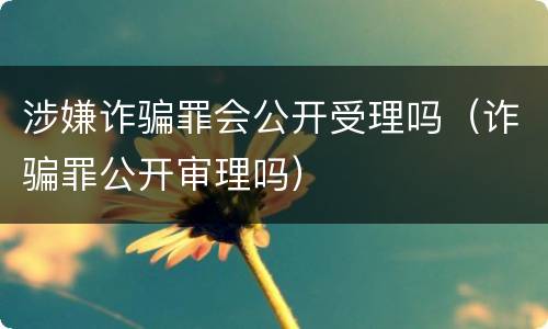 涉嫌诈骗罪会公开受理吗（诈骗罪公开审理吗）