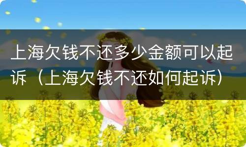 上海欠钱不还多少金额可以起诉（上海欠钱不还如何起诉）