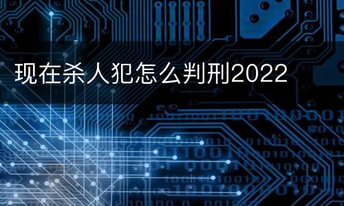 现在杀人犯怎么判刑2022