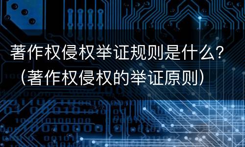 著作权侵权举证规则是什么？（著作权侵权的举证原则）