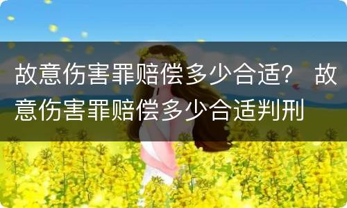 故意伤害罪赔偿多少合适？ 故意伤害罪赔偿多少合适判刑