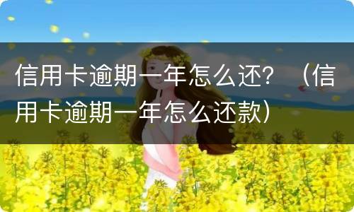 信用卡逾期一年怎么还？（信用卡逾期一年怎么还款）