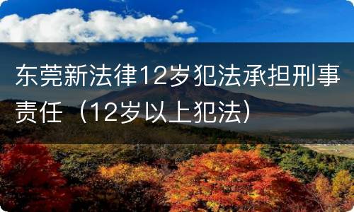 东莞新法律12岁犯法承担刑事责任（12岁以上犯法）