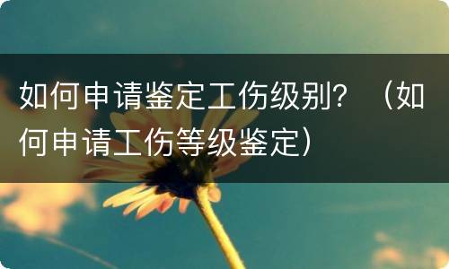 如何申请鉴定工伤级别？（如何申请工伤等级鉴定）