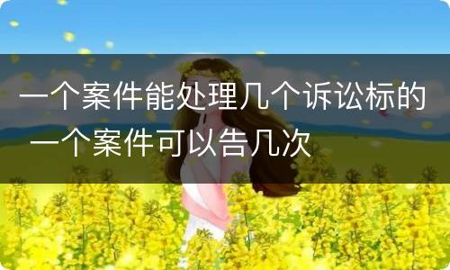 一个案件能处理几个诉讼标的 一个案件可以告几次
