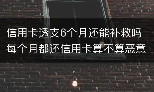 信用卡透支6个月还能补救吗 每个月都还信用卡算不算恶意透支