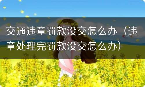 交通违章罚款没交怎么办（违章处理完罚款没交怎么办）