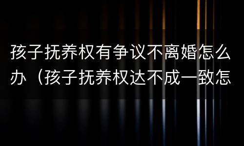 孩子抚养权有争议不离婚怎么办（孩子抚养权达不成一致怎办）