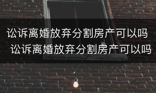 讼诉离婚放弃分割房产可以吗 讼诉离婚放弃分割房产可以吗