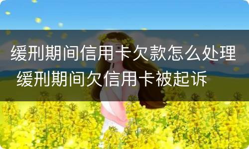 缓刑期间信用卡欠款怎么处理 缓刑期间欠信用卡被起诉