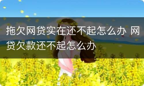 拖欠网贷实在还不起怎么办 网贷欠款还不起怎么办