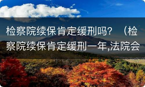 检察院续保肯定缓刑吗？（检察院续保肯定缓刑一年,法院会怎么判）