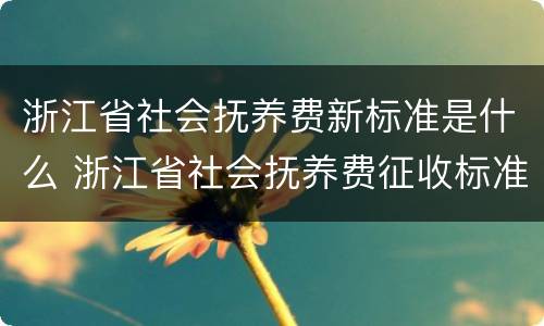 浙江省社会抚养费新标准是什么 浙江省社会抚养费征收标准