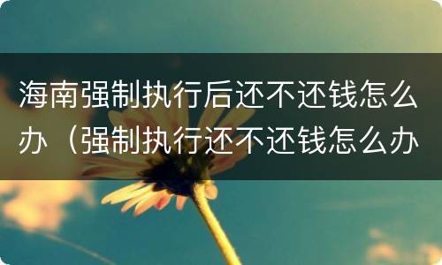 海南强制执行后还不还钱怎么办（强制执行还不还钱怎么办?）