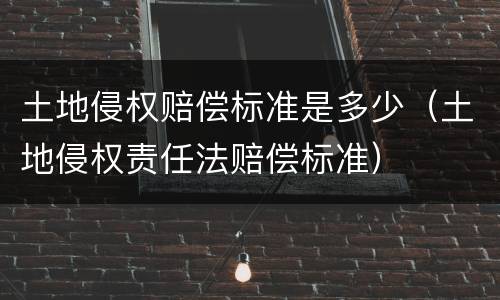 土地侵权赔偿标准是多少（土地侵权责任法赔偿标准）