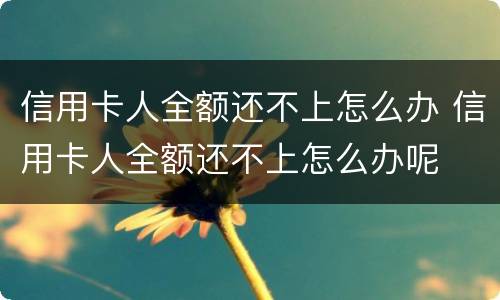 信用卡人全额还不上怎么办 信用卡人全额还不上怎么办呢