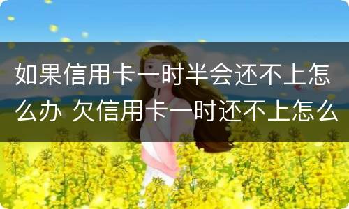 如果信用卡一时半会还不上怎么办 欠信用卡一时还不上怎么办
