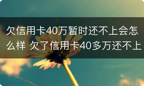欠信用卡40万暂时还不上会怎么样 欠了信用卡40多万还不上怎么办